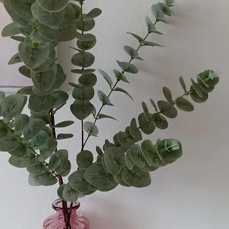 4 In Mit Balkon, Garten Und Kostenlosen Parkplatz Appartement