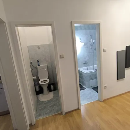 4 In Mit Balkon, Garten Und Kostenlosen Parkplatz Appartement Leoben (Styria)